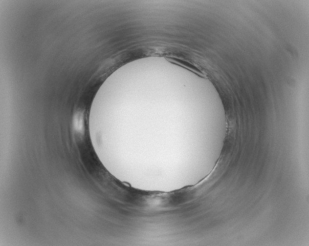 X0000115430094200911251234