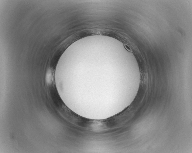 X0000115430095200911251234