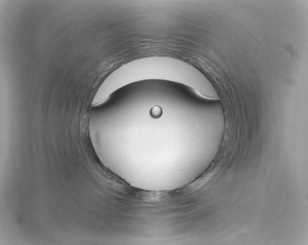 X0000115430096200911251234