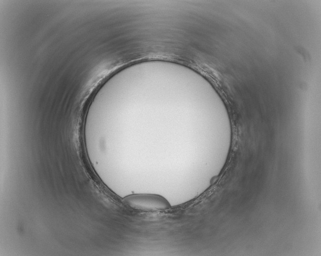 X0000115430098200911251234