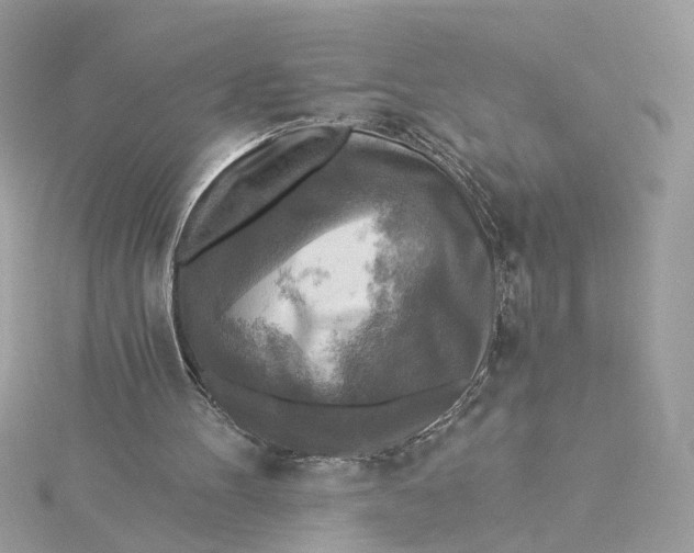 X0000115430100200911251234