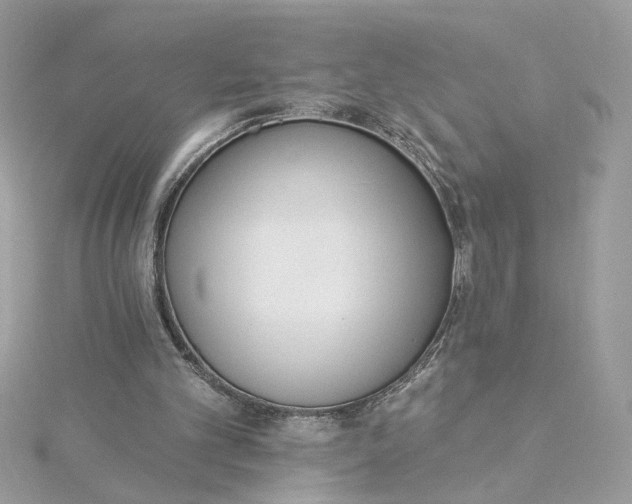 X0000115430101200911251234