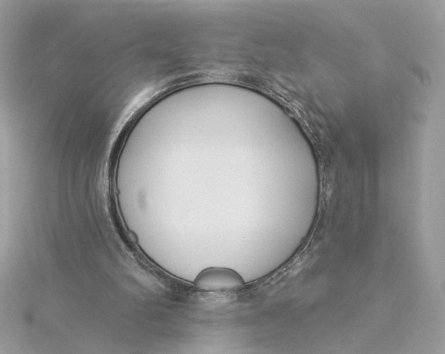 X0000115430102200911251234