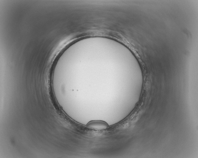 X0000115430103200911251234