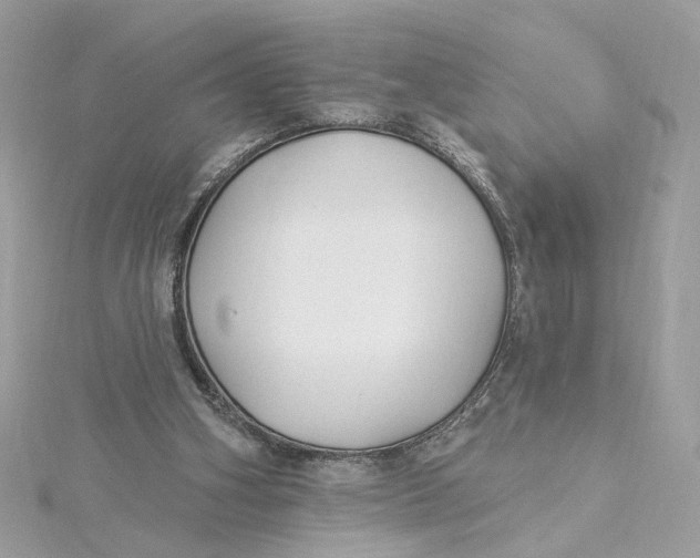 X0000115430106200911251234