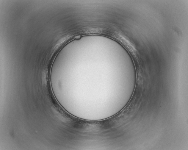 X0000115430107200911251234