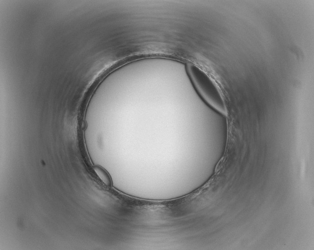 X0000115430108200911251234