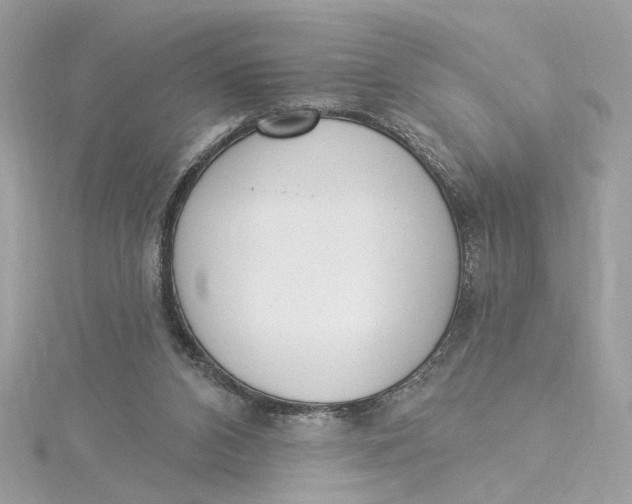 X0000115430112200911251234