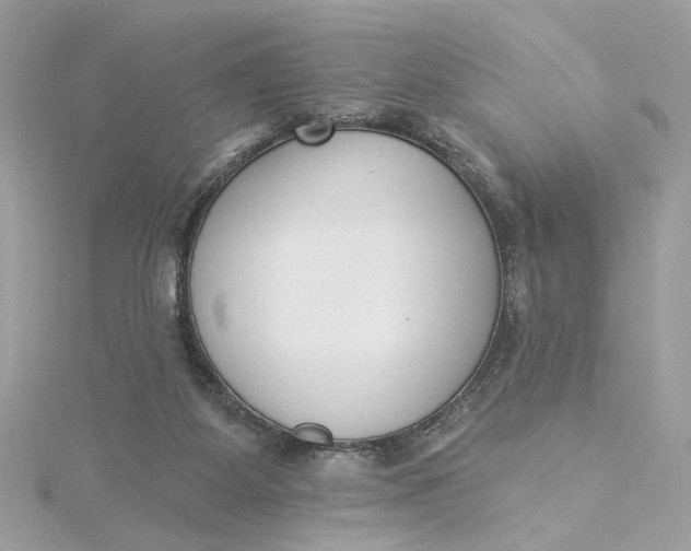 X0000115430115200911251233