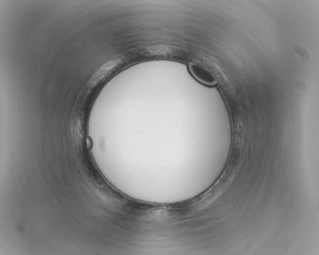 X0000115430116200911251233