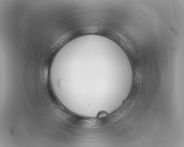 X0000115430118200911251233