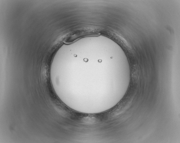 X0000115430119200911251233