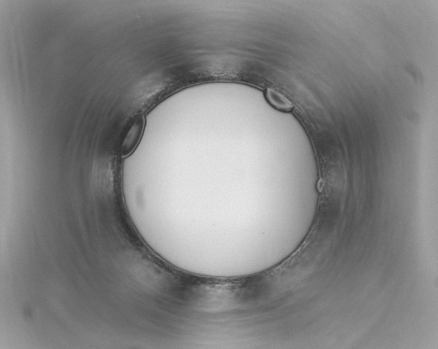 X0000115430120200911251233