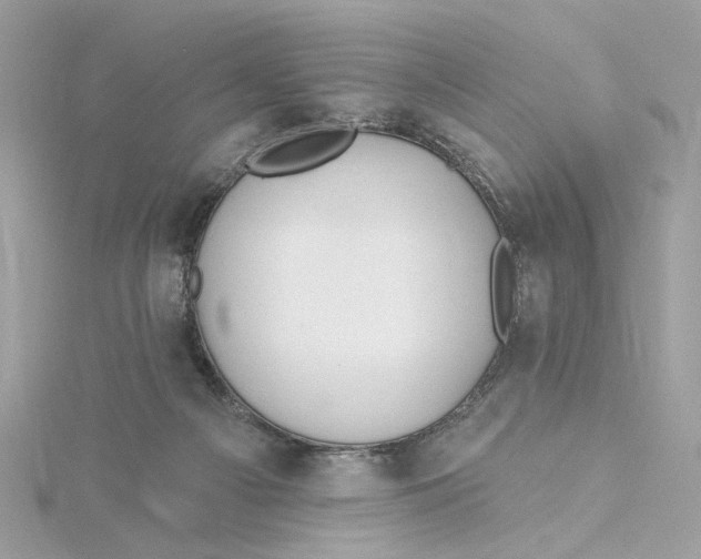 X0000115430121200911251233