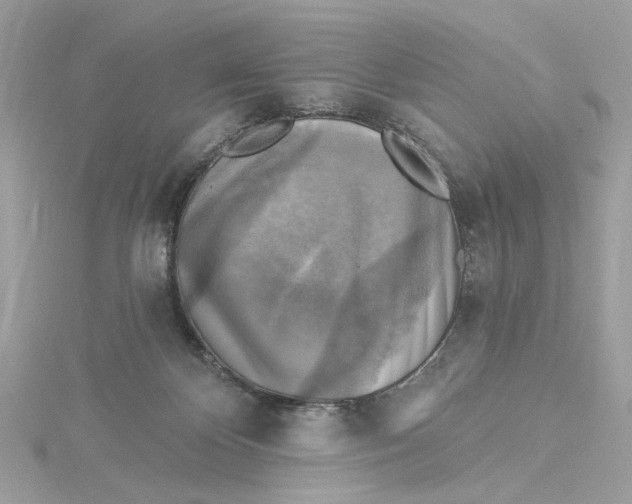 X0000115430124200911251233