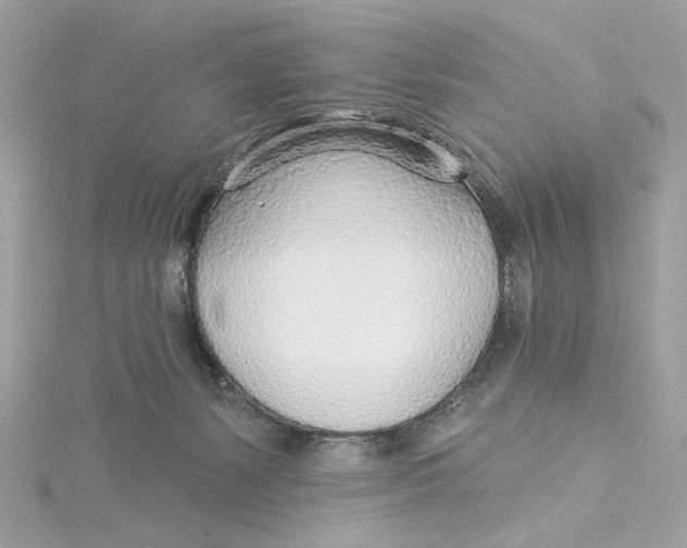 X0000115430127200911251233