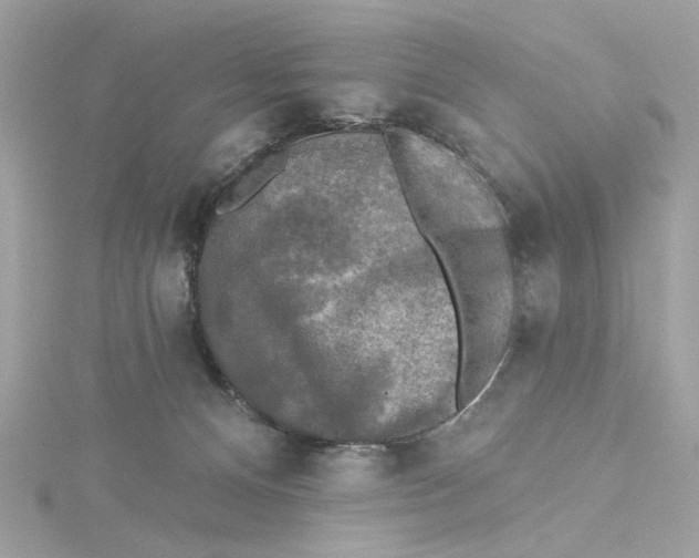 X0000115430128200911251233