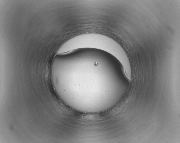 X0000115430129200911251233