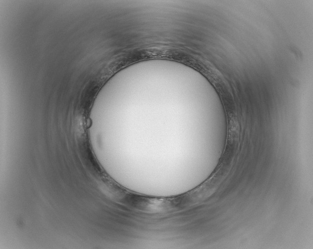 X0000115430130200911251233