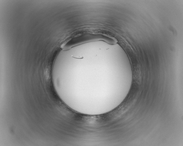 X0000115430131200911251233