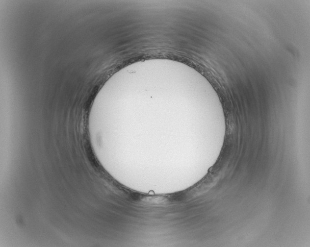 X0000115430133200911251233