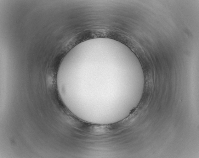 X0000115430134200911251233