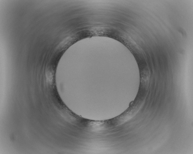 X0000115430139200911251233