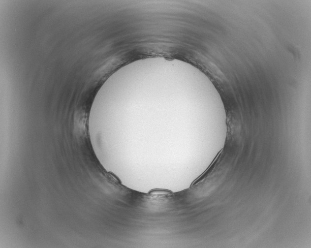 X0000115430141200911251233