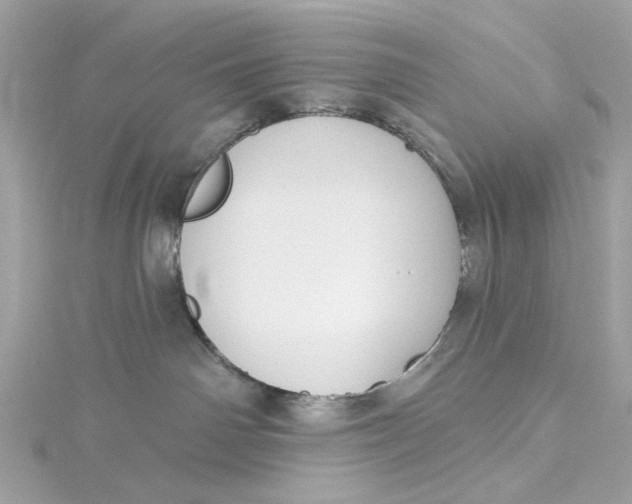 X0000115430142200911251233