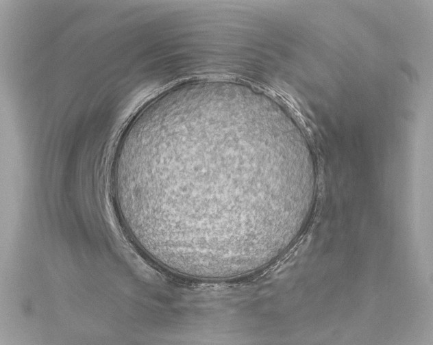 X0000115430145200911251233