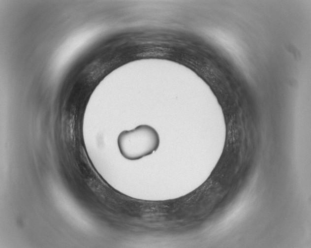 X0000115430146200911251233