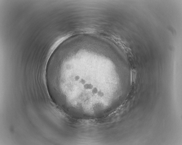 X0000115430147200911251233