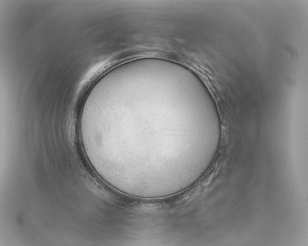 X0000115430149200911251233