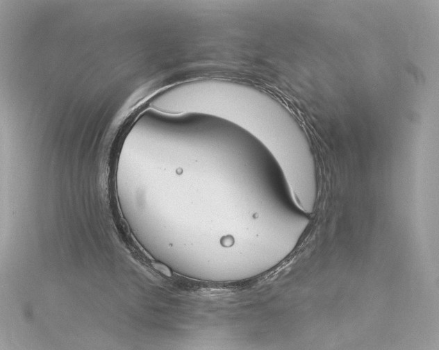 X0000115430150200911251233