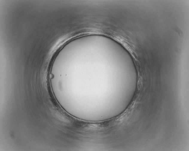 X0000115430151200911251233