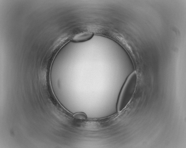 X0000115430154200911251233