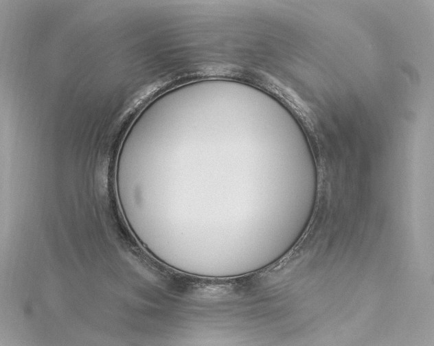 X0000115430155200911251233