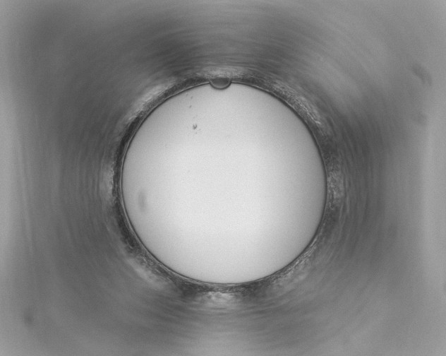 X0000115430159200911251233