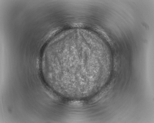 X0000115430161200911251233