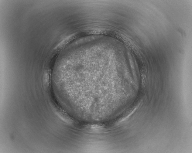 X0000115430165200911251233