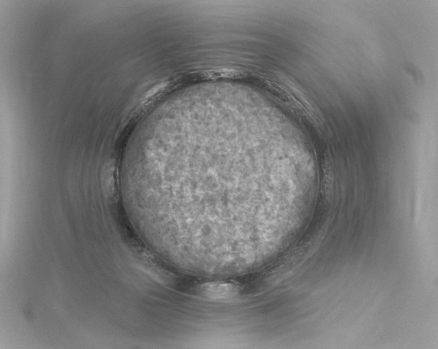 X0000115430169200911251233