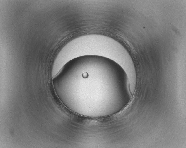 X0000115430170200911251233