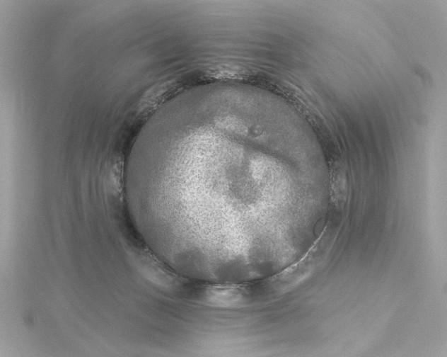 X0000115430175200911251233