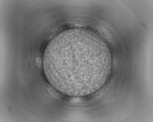 X0000115430177200911251233