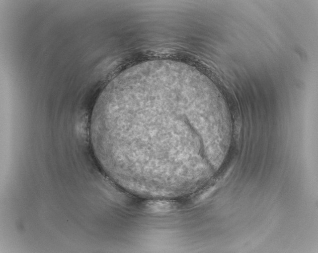 X0000115430181200911251233