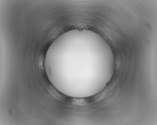 X0000115430185200911251233