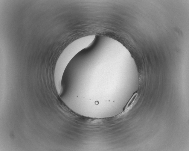 X0000115430186200911251233