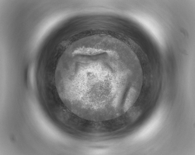 X0000115430189200911251233