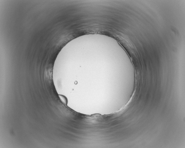 X0000115430190200911251233