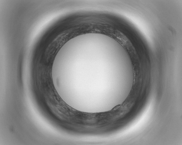 X0000115430191200911251233